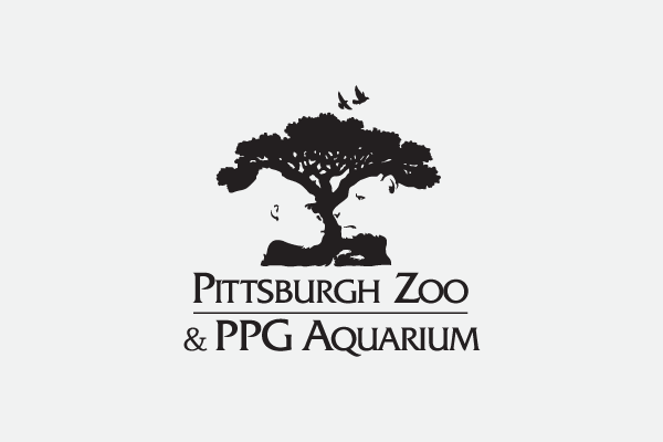 Logo Design Cork