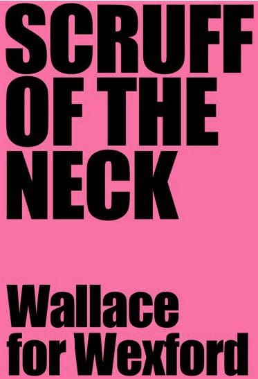 Eight More of the Worst Irish Election Posters Ever