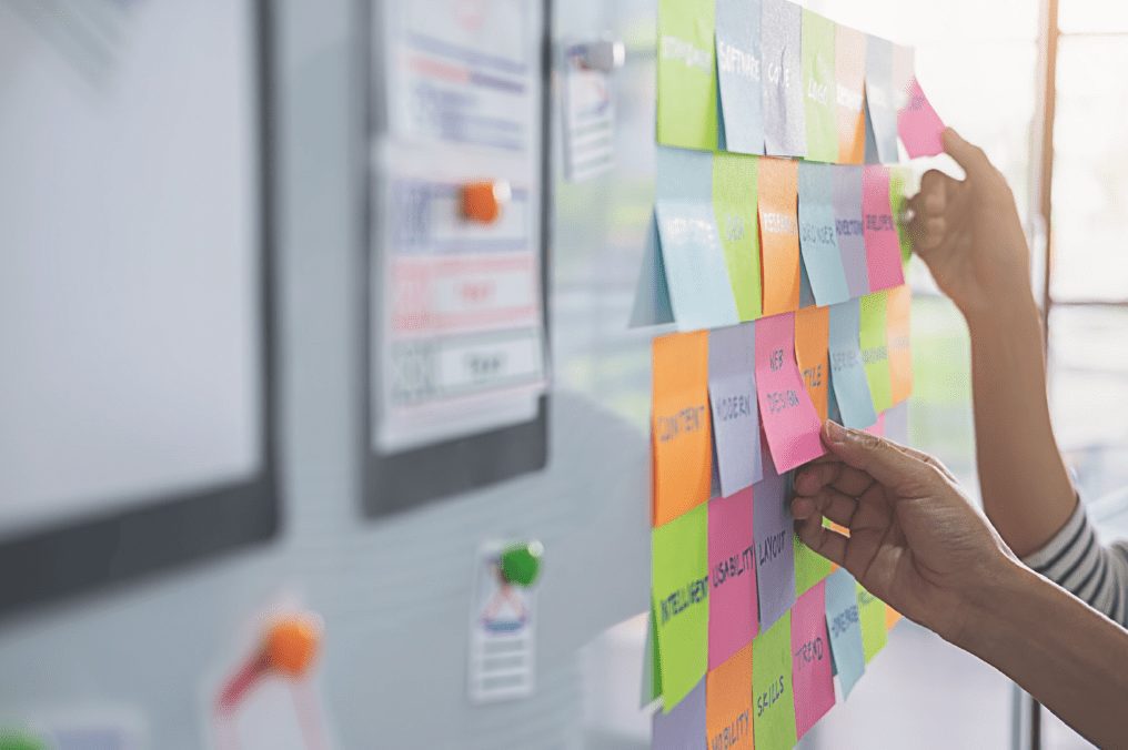 website design, web design, wordpress websites, web development