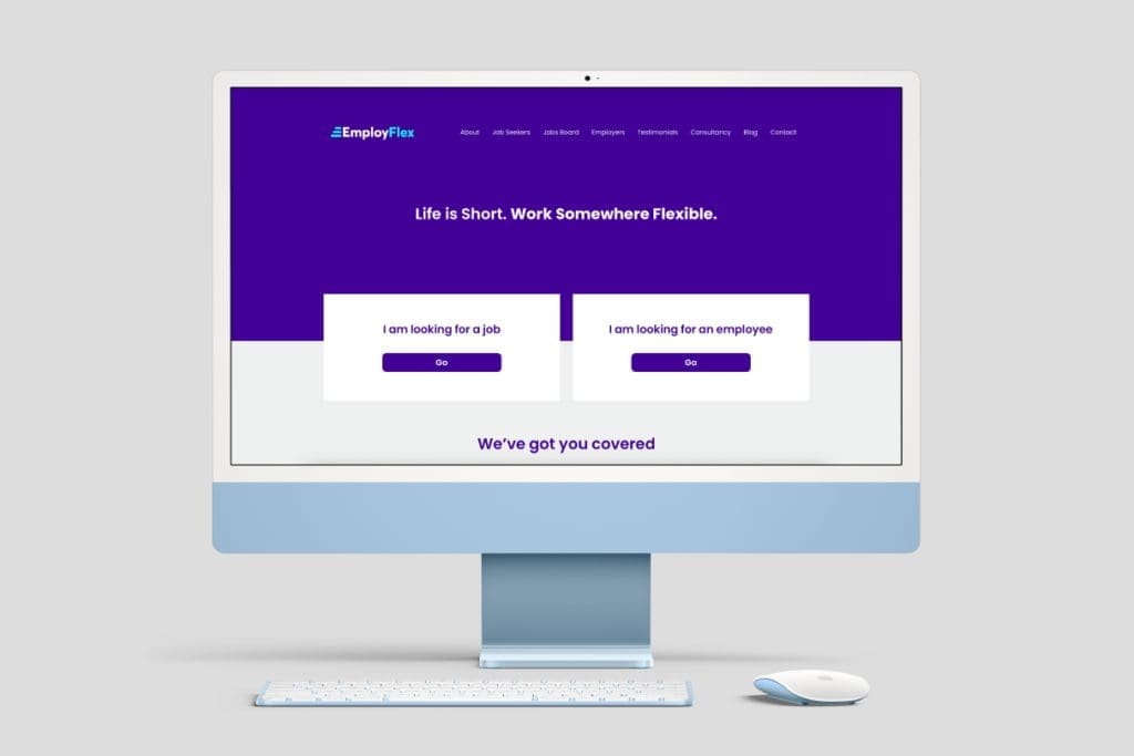 website design, profrssional website design