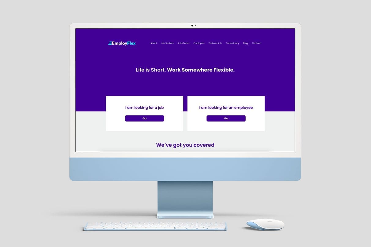 website design, profrssional website design